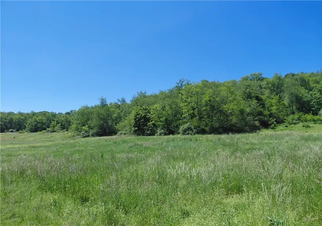 3rd image of 01 Christ'S Lane, Delmont, PA 15626 | MLS# 1731767