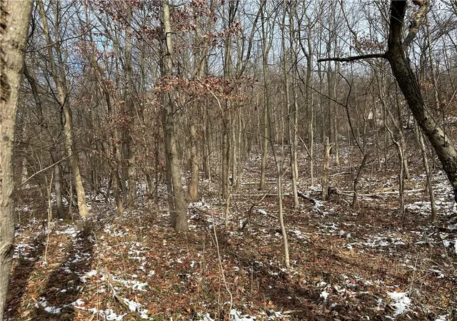 Photo 3 of Land for sale at 716 Route 356, Apollo, PA 15613 | MLS# 1733012 | Listing updated on 2026-07-06