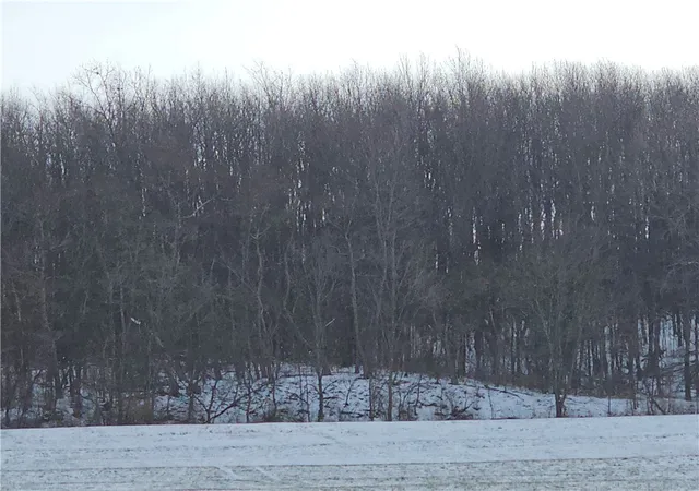 Photo 3 of Land for sale at 0 Concord Church Rdrt#588, Beaver Falls, PA 15010 | MLS# 1733765 | Listing updated on 2026-09-01