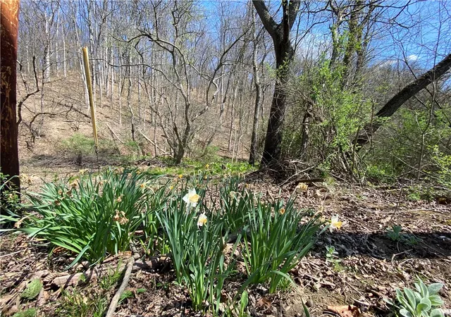 Homes for sale in Rural Valley Boro, PA | 226 Kime Rd, Rural Valley Boro, PA 16249 | MLS# 1736484