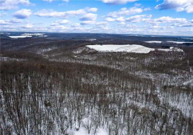 12th image of 0 Nye Road, Portersville, PA 16051 | MLS# 1737298