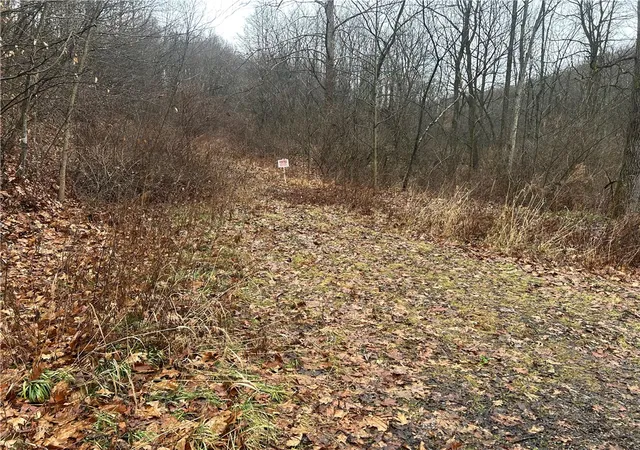 3rd image of 0 Nye Road, Portersville, PA 16051 | MLS# 1737298
