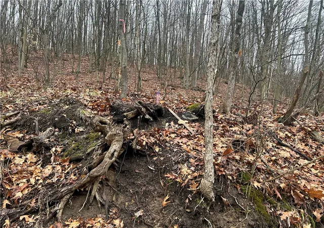 4th image of 0 Nye Road, Portersville, PA 16051 | MLS# 1737298