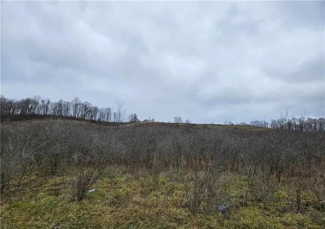 Photo 2 of Land for sale at 0 State Route 168, South Beaver Twp, PA 16115 | MLS# 1737377 | Listing updated on 2026-07-27