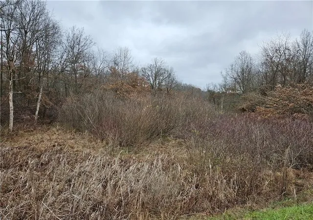 Photo 3 of Land for sale at 0 State Route 168, South Beaver Twp, PA 16115 | MLS# 1737377 | Listing updated on 2026-07-27