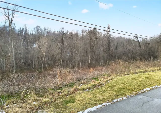 3rd image of 0000 Pleasant View Dr, Forward Twp, PA 15063 | MLS# 1738079