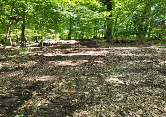 Photo 3 of Land for sale at 0 Holland Dr, Pittsburgh, PA 15238 | MLS# 1737986 | Listing updated on 2026-05-19