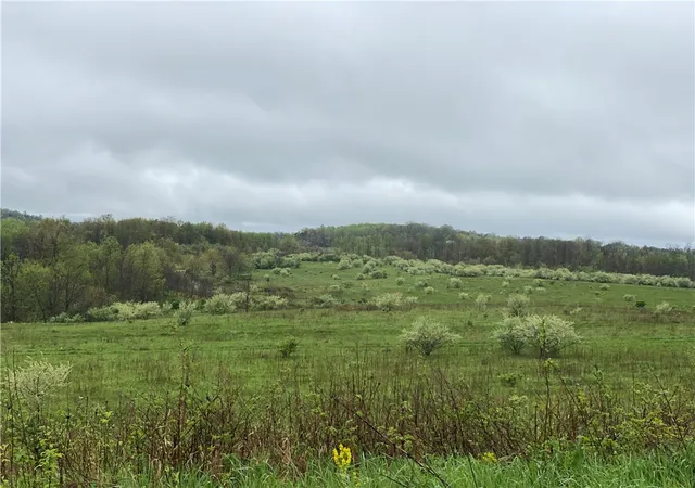 2nd image of 00 Decker's Point Road, E Mahoning/marion Ctr, PA 15759 | MLS# 1740651