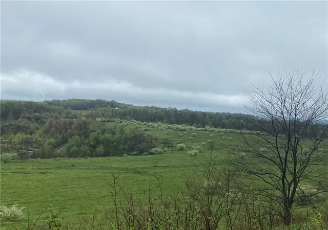 Photo 3 of Land for sale at 00 Decker's Point Rd, E Mahoning/marion Ctr, PA 15759 | MLS# 1740651 | Listing updated on 2026-06-10