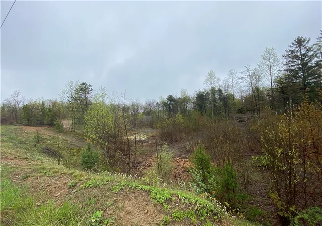 9th image of 00 Decker's Point Road, E Mahoning/marion Ctr, PA 15759 | MLS# 1740651