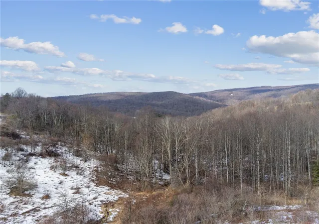 Homes for sale in Ligonier, PA | 0 Mccurdy Trail, Ligonier, PA 15658 | MLS# 1740778