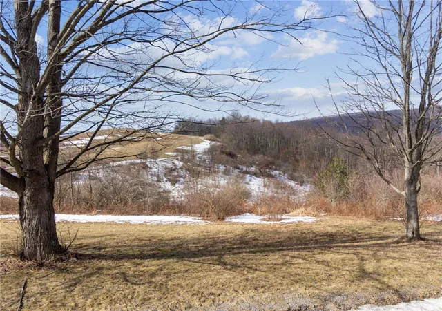 Homes for sale in Ligonier, PA | 0 Mccurdy Trail, Ligonier, PA 15658 | MLS# 1740778