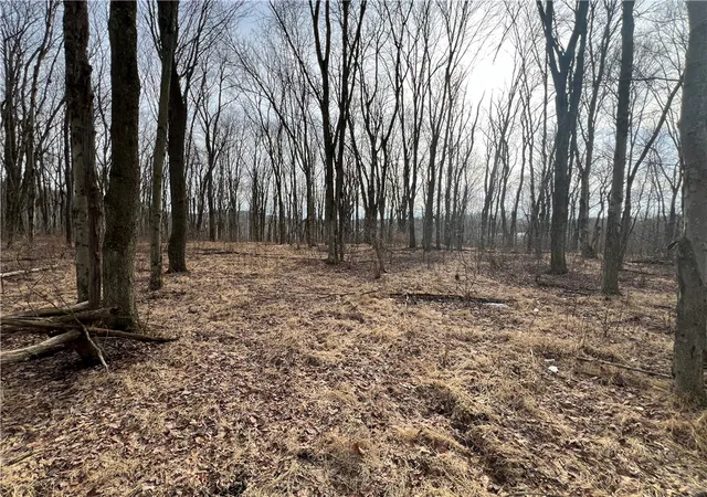 Photo 1 of Land for sale at 0 N Kings Crk Rd, Burgettstown, PA 15021 | MLS# 1740815 | Listing updated on 2026-03-25