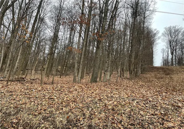 Photo 2 of Land for sale at Lot 1 4 Cole Rd, Murrysville, PA 15668 | MLS# 1741111 | Listing updated on 2026-06-23