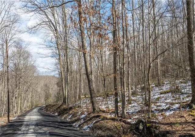 1st image of 702 Shepherd Rd, Wharton Twp, PA 15437 | MLS# 1742712