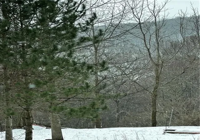 2nd image of 702 Shepherd Rd, Wharton Twp, PA 15437 | MLS# 1742712