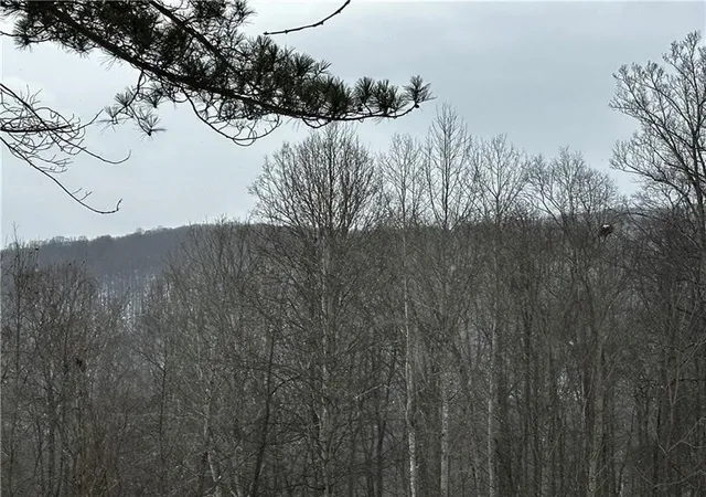 4th image of 702 Shepherd Rd, Wharton Twp, PA 15437 | MLS# 1742712