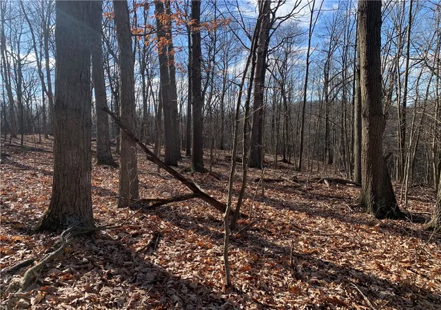 2nd image of 00 Bakerstown Rd, Tarentum, PA 15084 | MLS# 1742478