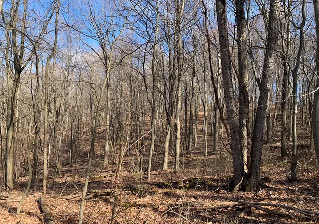 3rd image of 00 Bakerstown Rd, Tarentum, PA 15084 | MLS# 1742478