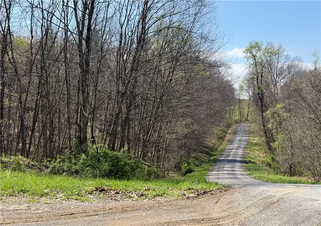2nd image of 64 Acres Along Gallagher & Loop Rds, Punxsutawney Area School District, PA 16222 | MLS# 1743137