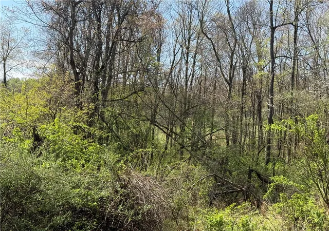38th image of 64 Acres Along Gallagher & Loop Rds, Punxsutawney Area School District, PA 16222 | MLS# 1743137
