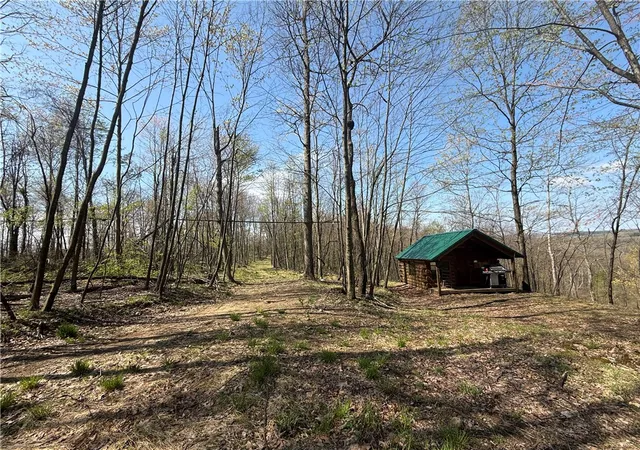 3rd image of 64 Acres Along Gallagher & Loop Rds, Punxsutawney Area School District, PA 16222 | MLS# 1743137