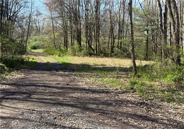 5th image of 64 Acres Along Gallagher & Loop Rds, Punxsutawney Area School District, PA 16222 | MLS# 1743137