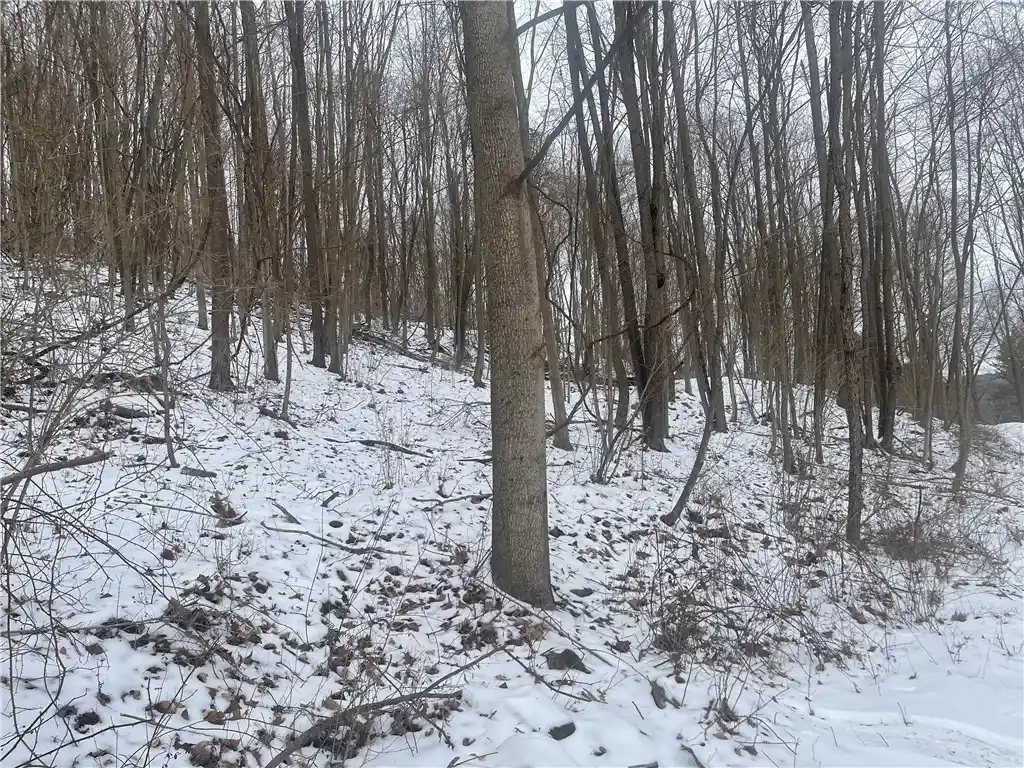 Land for sale at 130 Wood, Bolivar, PA 15923 | MLS# 1743249