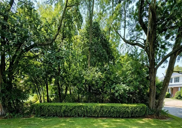 Photo 3 of Land for sale at 502 13th Street, North Apollo, PA 15673 | MLS# 1743423 | Listing updated on 2026-03-12