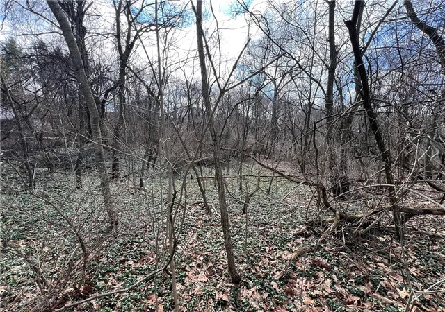 2nd image of 0 Spruce Dr, Center Twp, PA 15061 | MLS# 1743291
