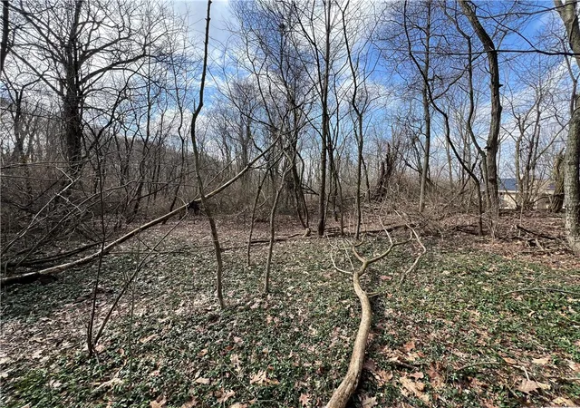 3rd image of 0 Spruce Dr, Center Twp, PA 15061 | MLS# 1743291