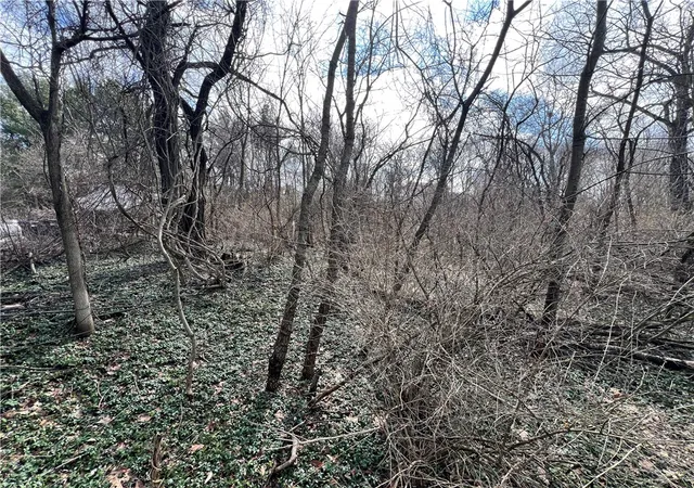 4th image of 0 Spruce Dr, Center Twp, PA 15061 | MLS# 1743291