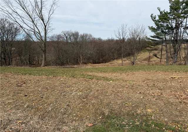 Photo 4 of Land for sale at 410 Elderberry Ln, Washington Twp, PA 15613 | MLS# 1742914 | Listing updated on 2026-06-09