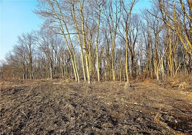 5th image of 00 Blackleggs Rd, Conemaugh/young Twps   Ind, PA 15681 | MLS# 1743776