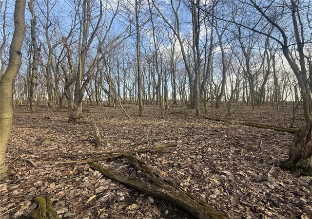 1st image of 0 Main St, North Union Twp, PA 15456 | MLS# 1744137