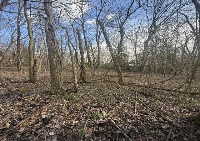 5th image of 0 Main St, North Union Twp, PA 15456 | MLS# 1744137