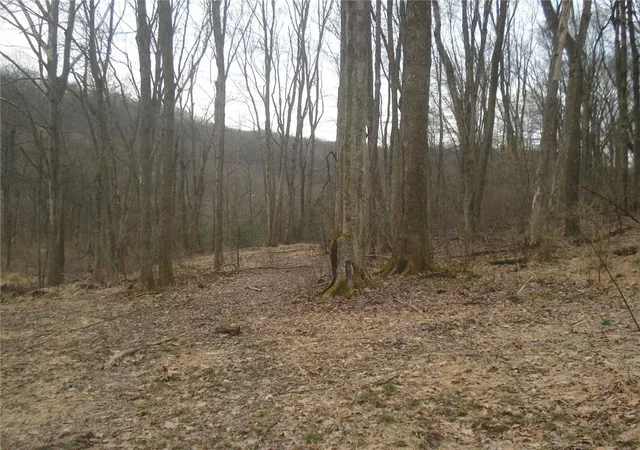Land for sale at 0 Mcdevitt, Franklin Park, PA 15143 | MLS# 1744691