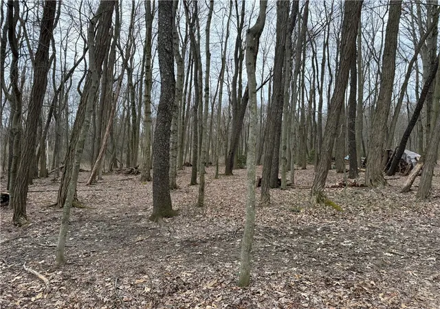 Photo 3 of Land for sale at 0 Saxonburg Rd, Butler, PA 16002 | MLS# 1745819 | Listing updated on 2026-04-20
