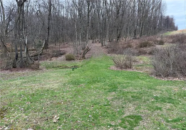 Photo 4 of Land for sale at 0 Saxonburg Rd, Butler, PA 16002 | MLS# 1745819 | Listing updated on 2026-04-20