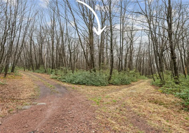 1st image of Lot 586 Zermatt Road, Jenner Twp, PA 15546 | MLS# 1745918