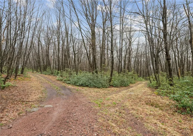 3rd image of Lot 586 Zermatt Road, Jenner Twp, PA 15546 | MLS# 1745918