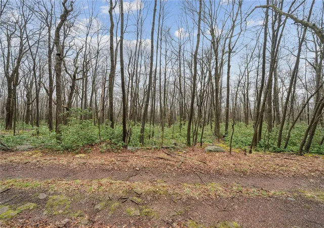 4th image of Lot 586 Zermatt Road, Jenner Twp, PA 15546 | MLS# 1745918