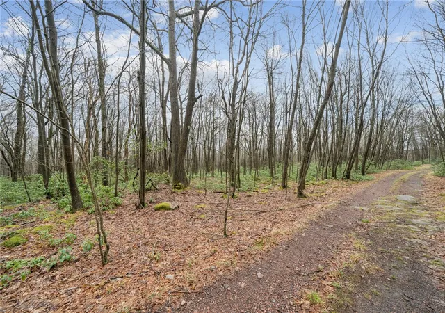 5th image of Lot 586 Zermatt Road, Jenner Twp, PA 15546 | MLS# 1745918