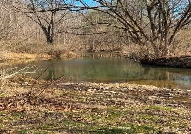 3rd image of 0 Brush Run, Blaine Twp, PA 15312 | MLS# 1747417