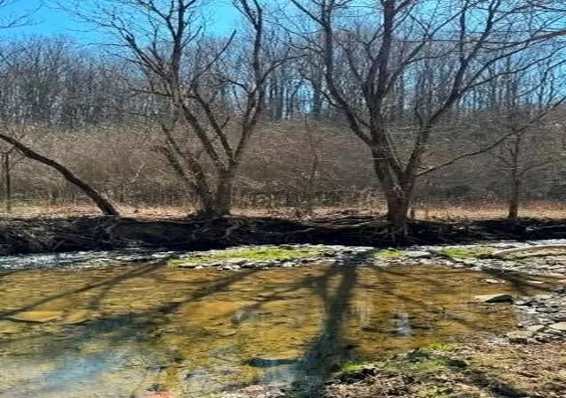 4th image of 0 Brush Run, Blaine Twp, PA 15312 | MLS# 1747417