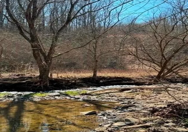 5th image of 0 Brush Run, Blaine Twp, PA 15312 | MLS# 1747417