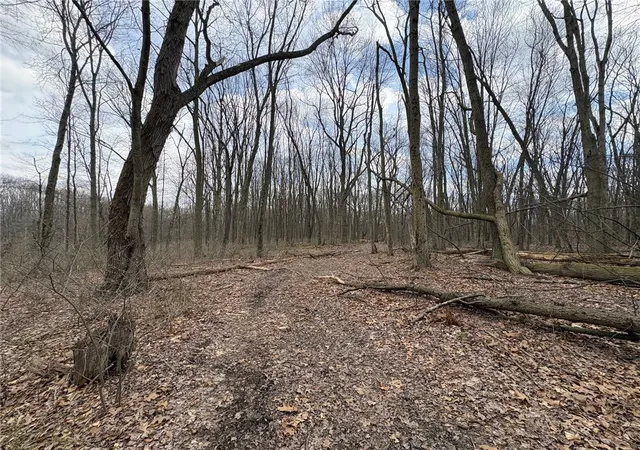 3rd image of 0 Orangeville Road, Sharpsville, PA 16150 | MLS# 1747785