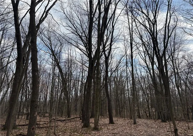 4th image of 0 Orangeville Road, Sharpsville, PA 16150 | MLS# 1747785