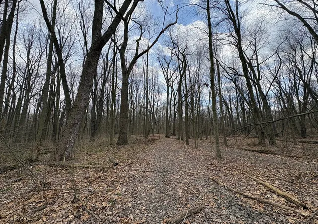 5th image of 0 Orangeville Road, Sharpsville, PA 16150 | MLS# 1747785