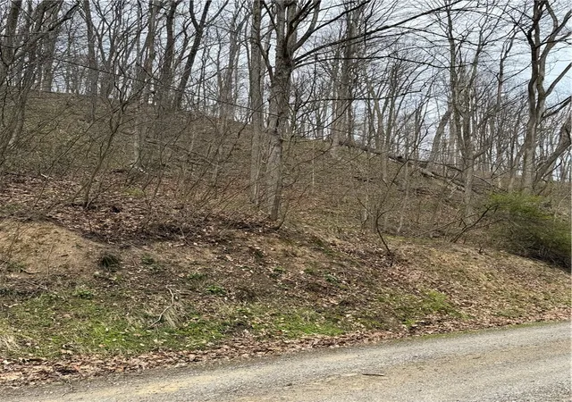 Homes for sale in Bethel Twp, PA | 0 Coal Bank Hollow Rd, Bethel Twp, PA 16226 | MLS# 1748446